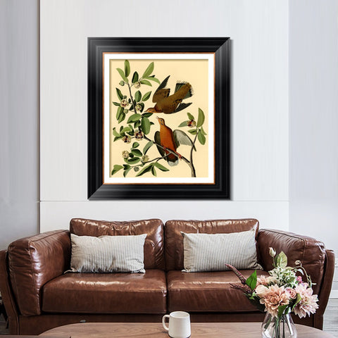 INVIN ART Framed Canvas Art Giclee Print Zenaida Dove by John James Audubon Living Room Home Office Wall Art Decorations