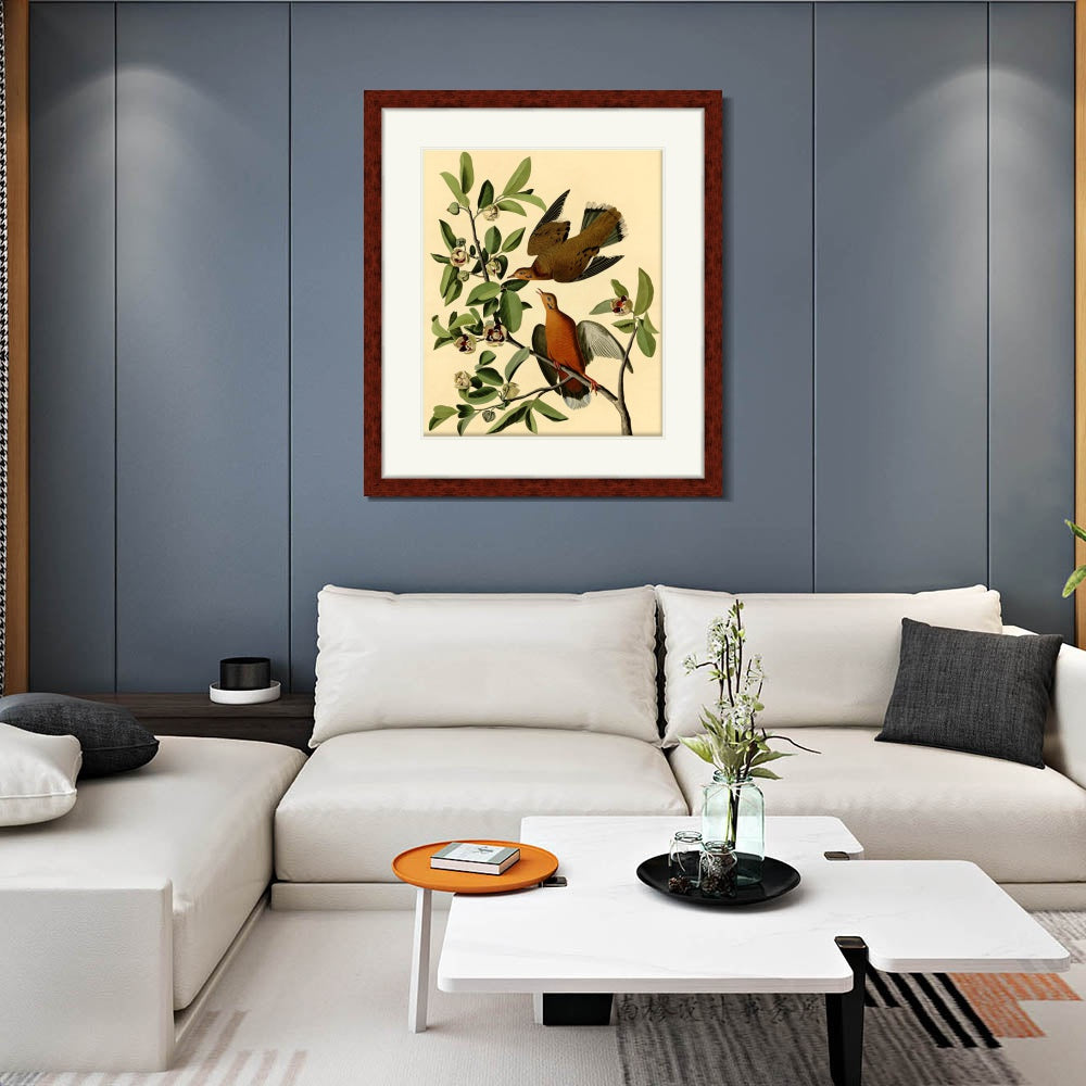 INVIN ART Framed Canvas Art Giclee Print Zenaida Dove by John James Audubon  Home Office Wall Art Decorations