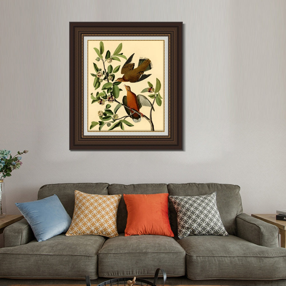 INVIN ART Framed Canvas Art Giclee Print Zenaida Dove by John James Audubon  Home Office Wall Art Decorations
