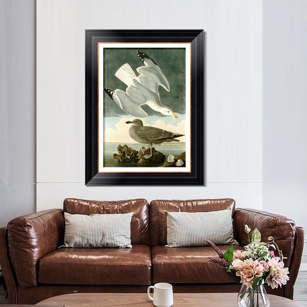 INVIN ART Framed Canvas Art Giclee Print Herring Gull by John James Audubon  Home Office Wall Art Decorations