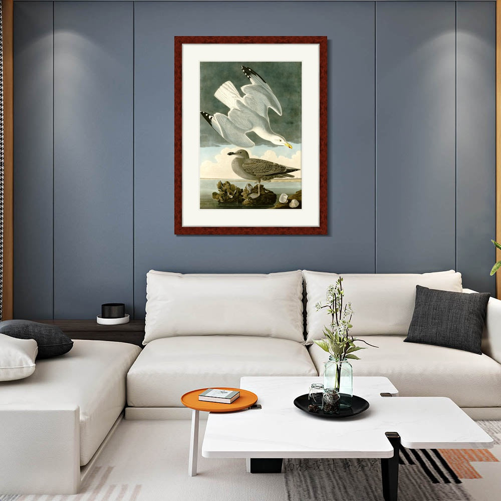 INVIN ART Framed Canvas Art Giclee Print Herring Gull by John James Audubon  Home Office Wall Art Decorations