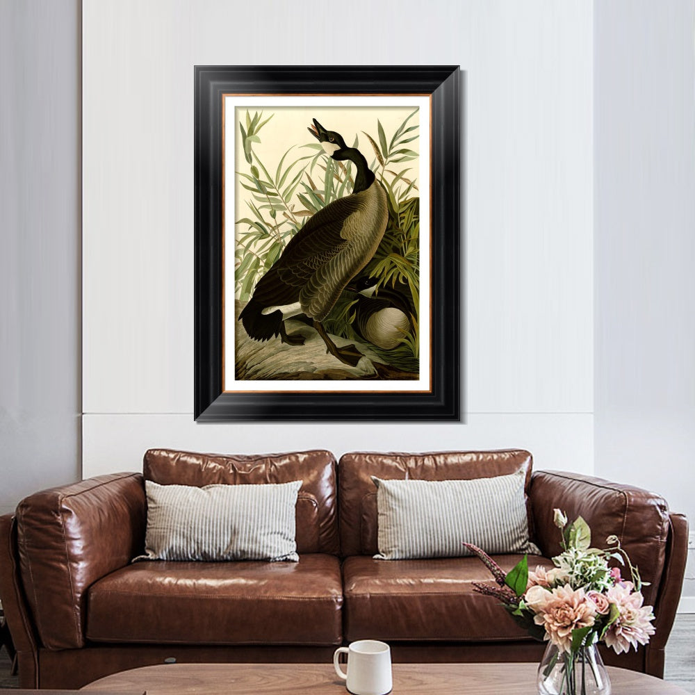 INVIN ART Framed Canvas Art Giclee Print Canada_Goose#40 by John James Audubon  Home Office Wall Art Decorations