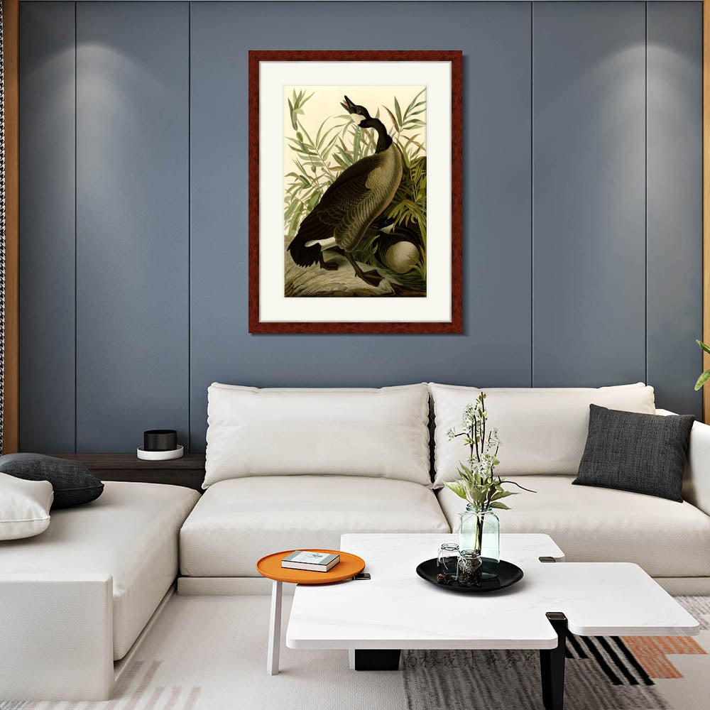 INVIN ART Framed Canvas Art Giclee Print Canada_Goose#40 by John James Audubon  Home Office Wall Art Decorations
