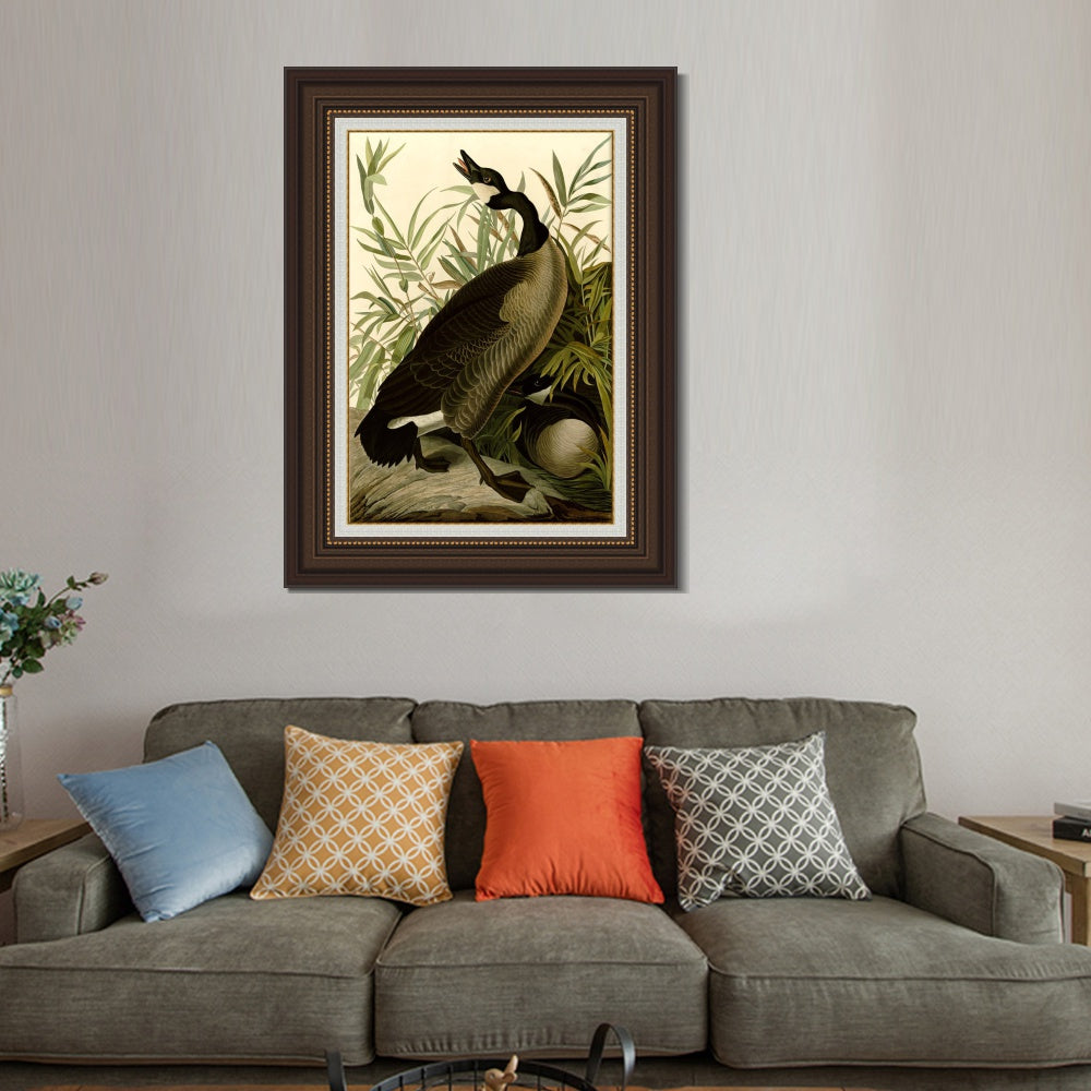 INVIN ART Framed Canvas Art Giclee Print Canada_Goose#40 by John James Audubon  Home Office Wall Art Decorations