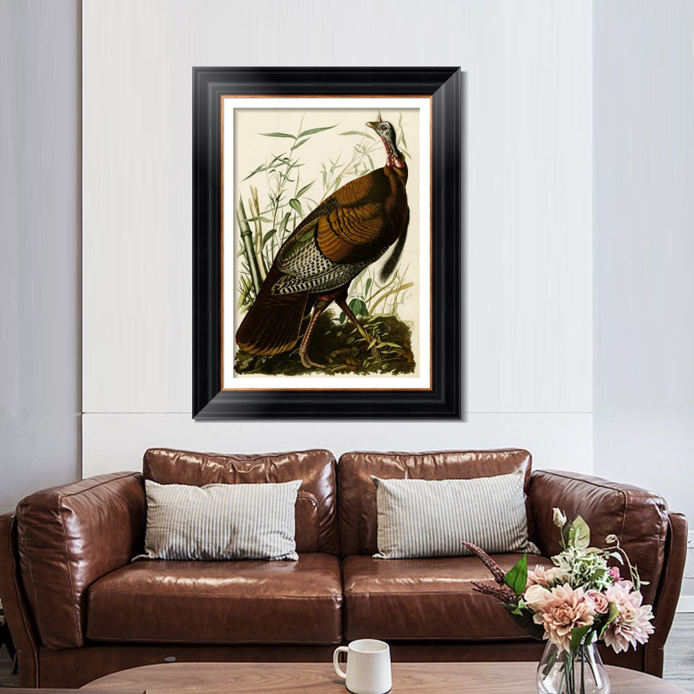 INVIN ART Framed Canvas Art Giclee Print Wild Turkey by John James Audubon  Home Office Wall Art Decorations