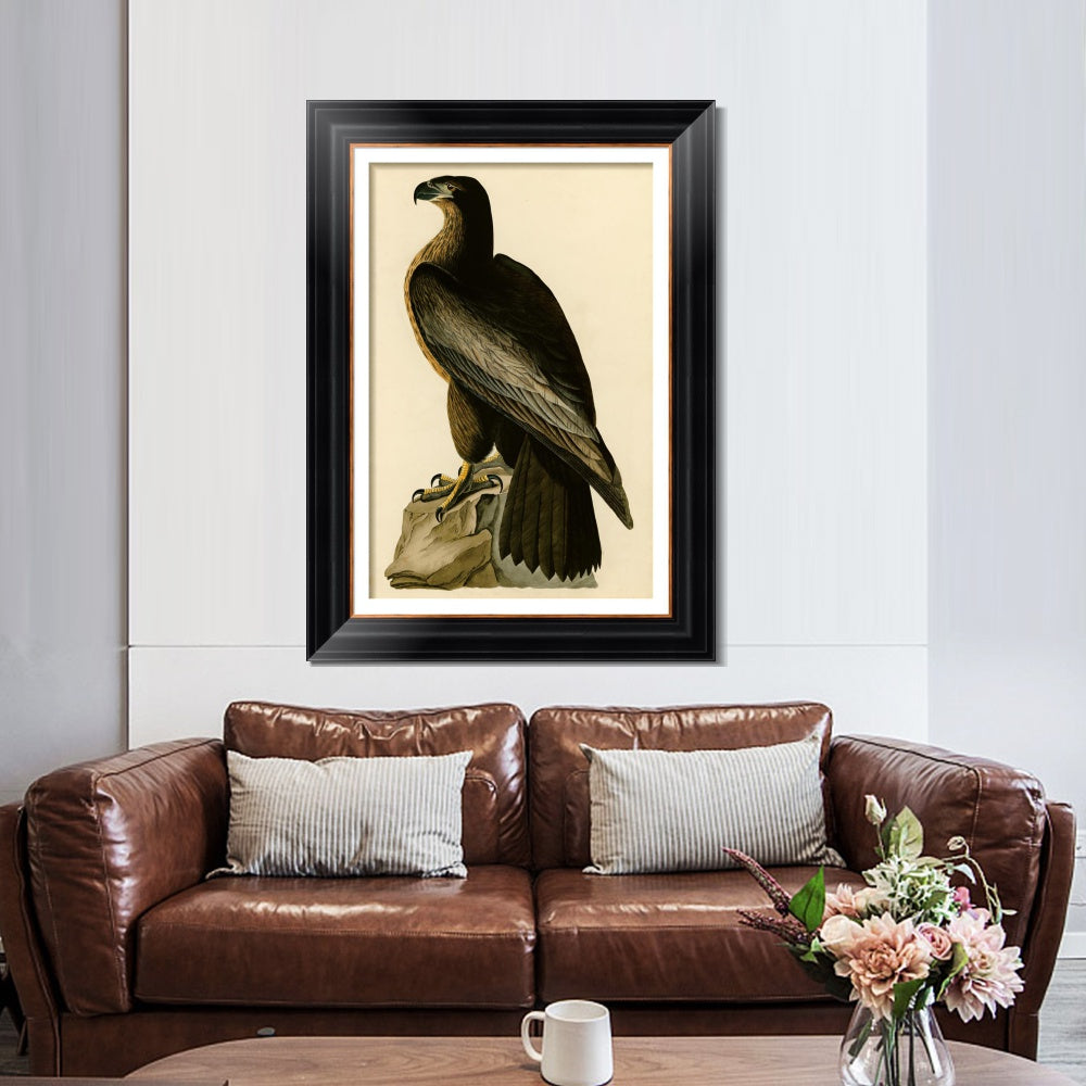INVIN ART Framed Canvas Art Giclee Print Bird of Washington by John James Audubon  Home Office Wall Art Decorations