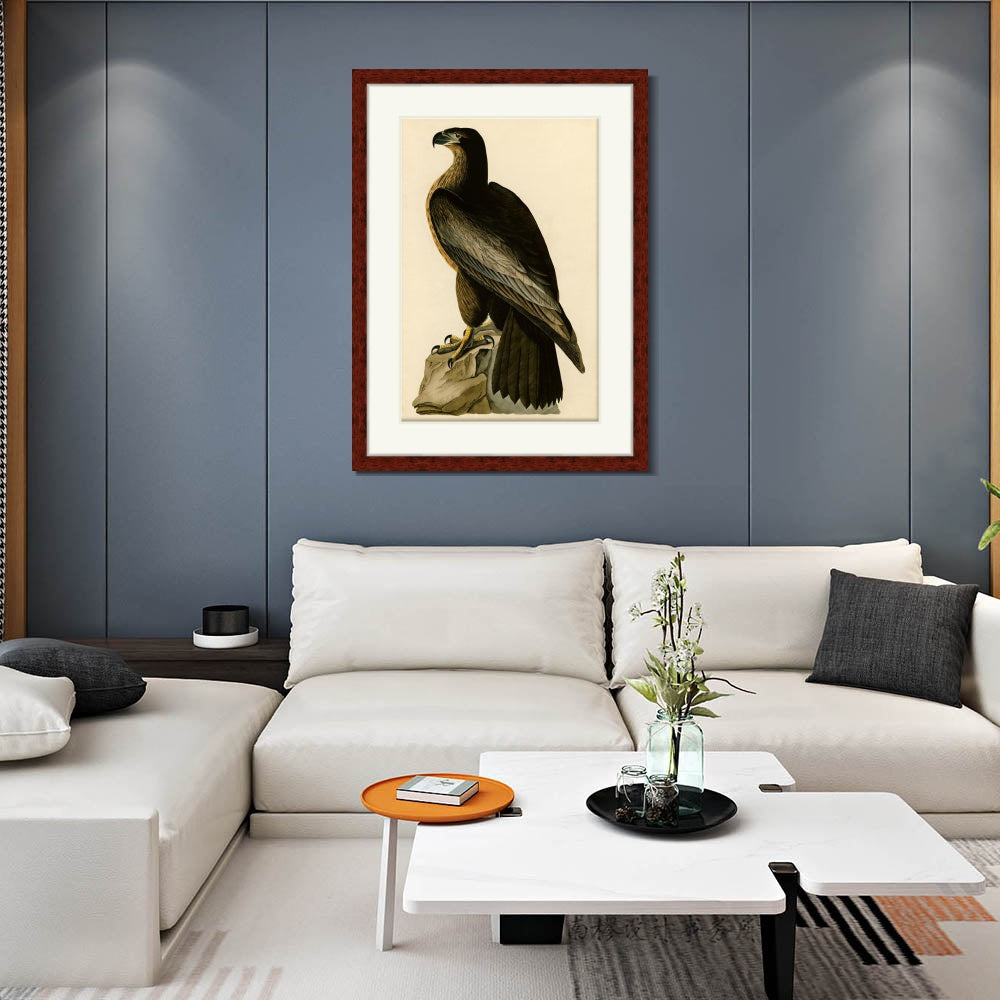 INVIN ART Framed Canvas Art Giclee Print Bird of Washington by John James Audubon  Home Office Wall Art Decorations