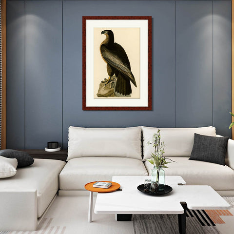INVIN ART Framed Canvas Art Giclee Print Bird of Washington by John James Audubon Living Room Home Office Wall Art Decorations