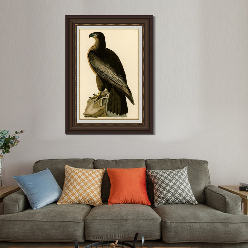 INVIN ART Framed Canvas Art Giclee Print Bird of Washington by John James Audubon  Home Office Wall Art Decorations