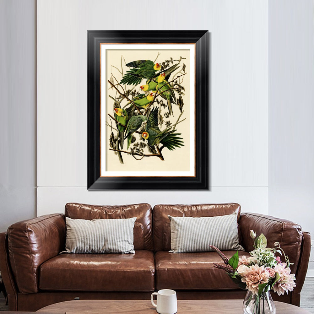 INVIN ART Framed Canvas Art Giclee Print Carolina Parrot by John James Audubon  Home Office Wall Art Decorations