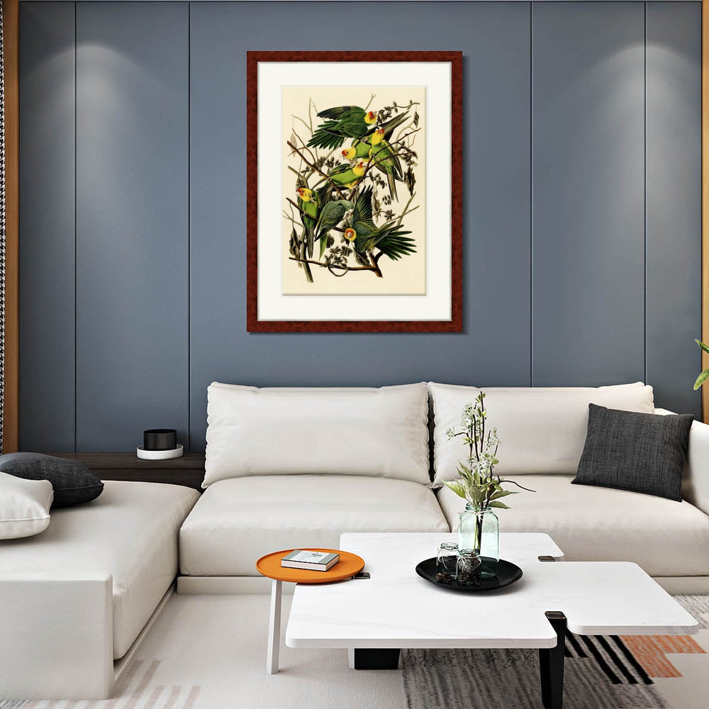 INVIN ART Framed Canvas Art Giclee Print Carolina Parrot by John James Audubon  Home Office Wall Art Decorations