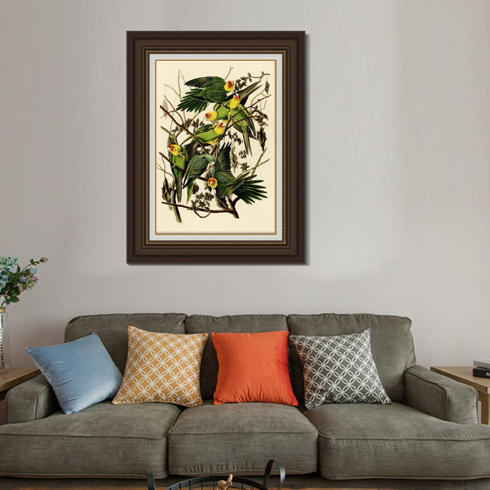 INVIN ART Framed Canvas Art Giclee Print Carolina Parrot by John James Audubon  Home Office Wall Art Decorations