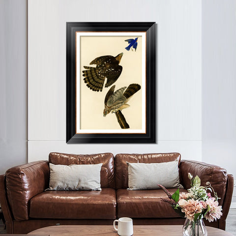 INVIN ART Framed Canvas Art Giclee Print Stanley Hawk#45 by John James Audubon Living Room Home Office Wall Art Decorations