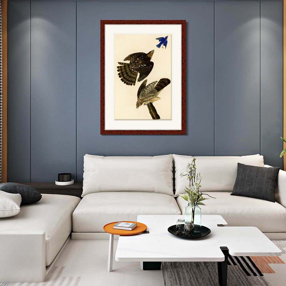 INVIN ART Framed Canvas Art Giclee Print Stanley Hawk#45 by John James Audubon  Home Office Wall Art Decorations