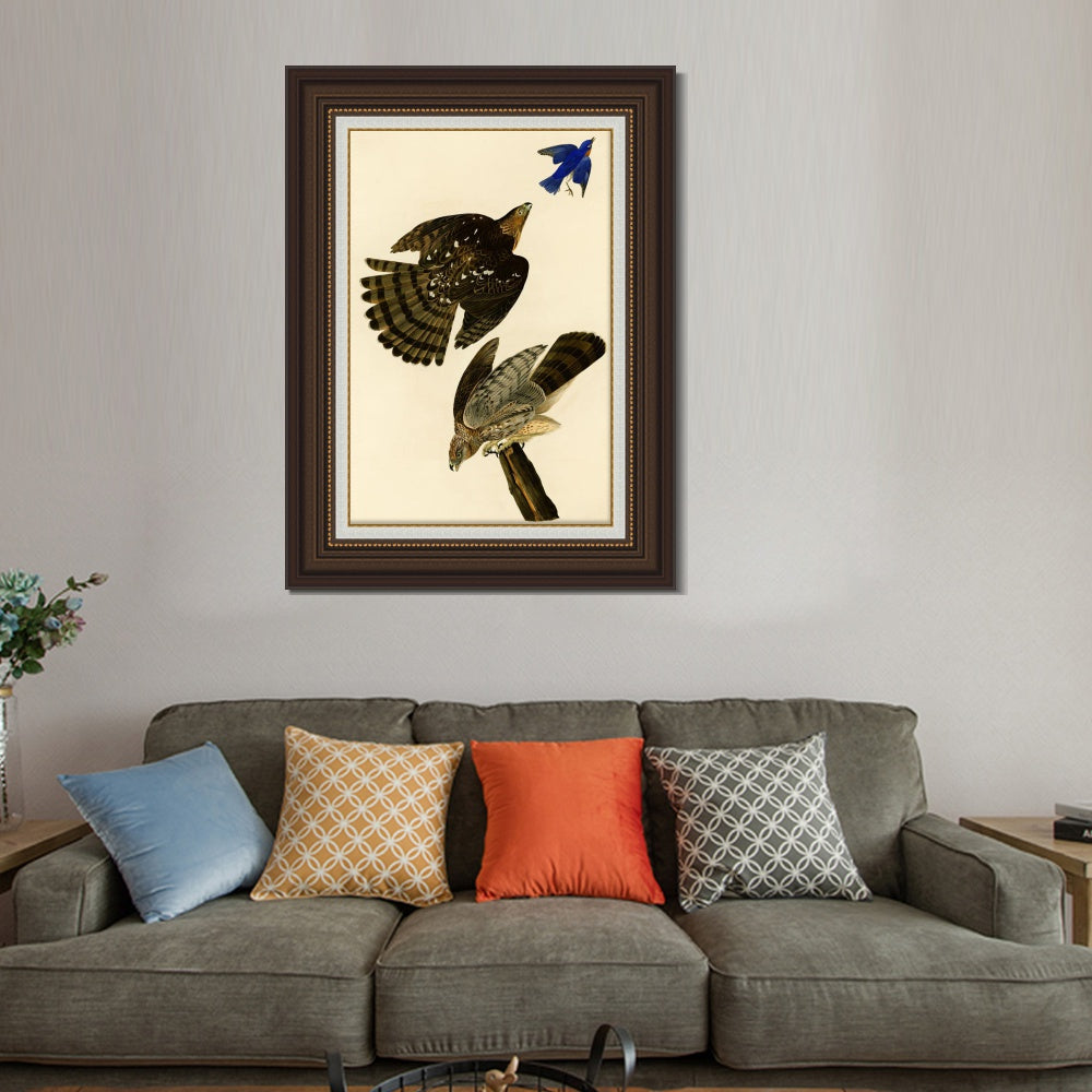 INVIN ART Framed Canvas Art Giclee Print Stanley Hawk#45 by John James Audubon  Home Office Wall Art Decorations