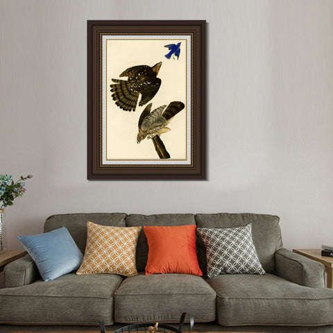 INVIN ART Framed Canvas Art Giclee Print Stanley Hawk#45 by John James Audubon Living Room Home Office Wall Art Decorations