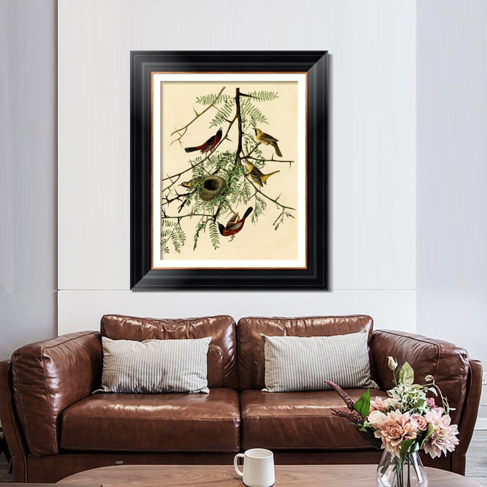 INVIN ART Framed Canvas Art Giclee Print Orchard Oriole by John James Audubon  Home Office Wall Art Decorations
