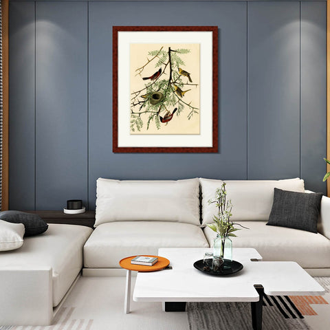 INVIN ART Framed Canvas Art Giclee Print Orchard Oriole by John James Audubon Living Room Home Office Wall Art Decorations