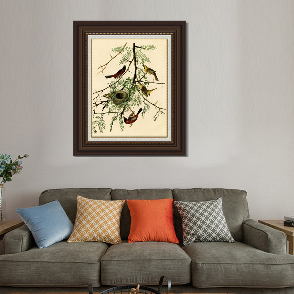 INVIN ART Framed Canvas Art Giclee Print Orchard Oriole by John James Audubon  Home Office Wall Art Decorations
