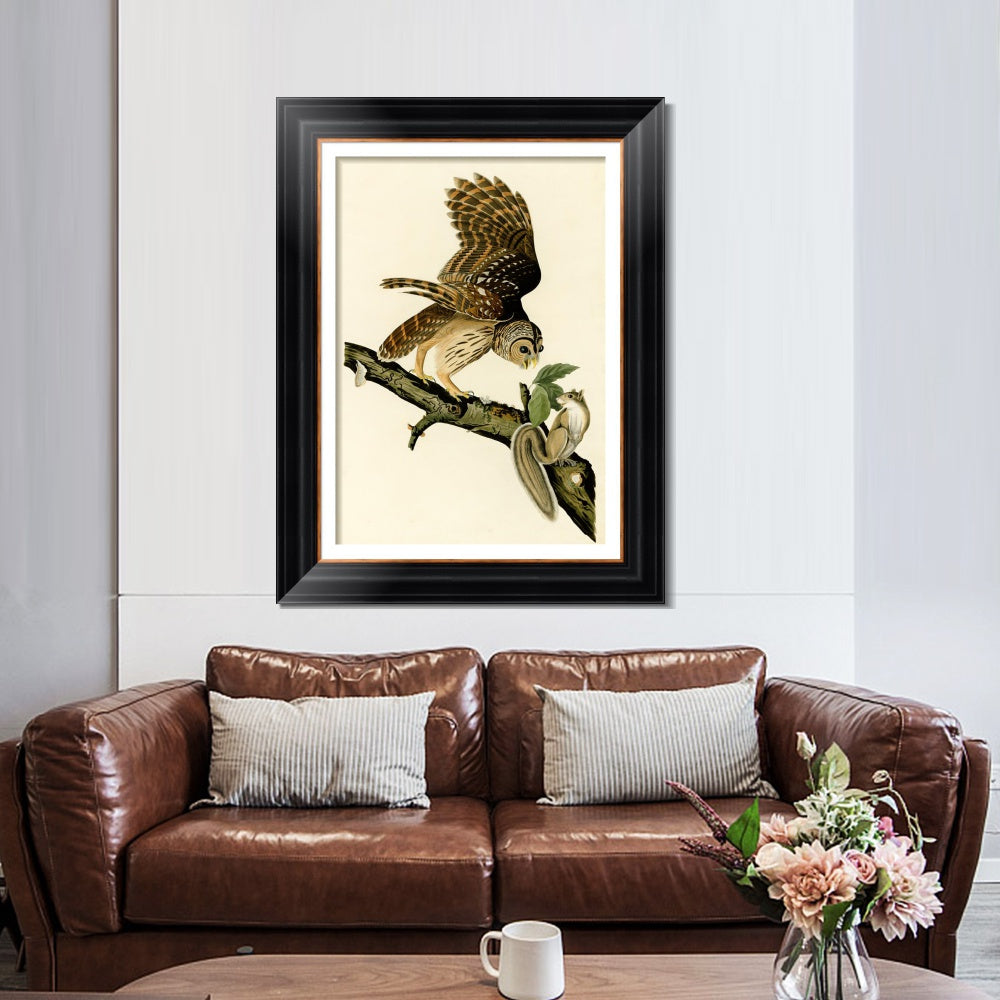 INVIN ART Framed Canvas Art Giclee Print Barred Owl by John James Audubon  Home Office Wall Art Decorations