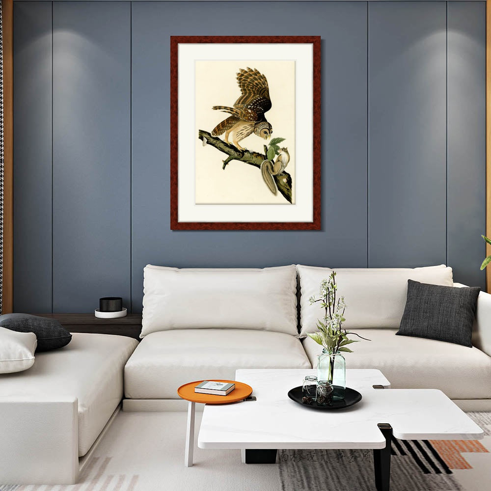 INVIN ART Framed Canvas Art Giclee Print Barred Owl by John James Audubon  Home Office Wall Art Decorations