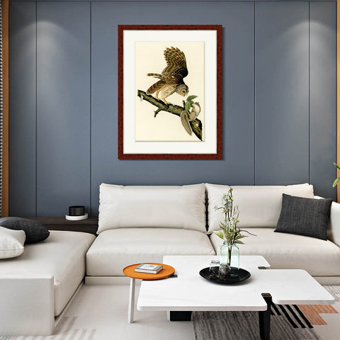INVIN ART Framed Canvas Art Giclee Print Barred Owl by John James Audubon Living Room Home Office Wall Art Decorations
