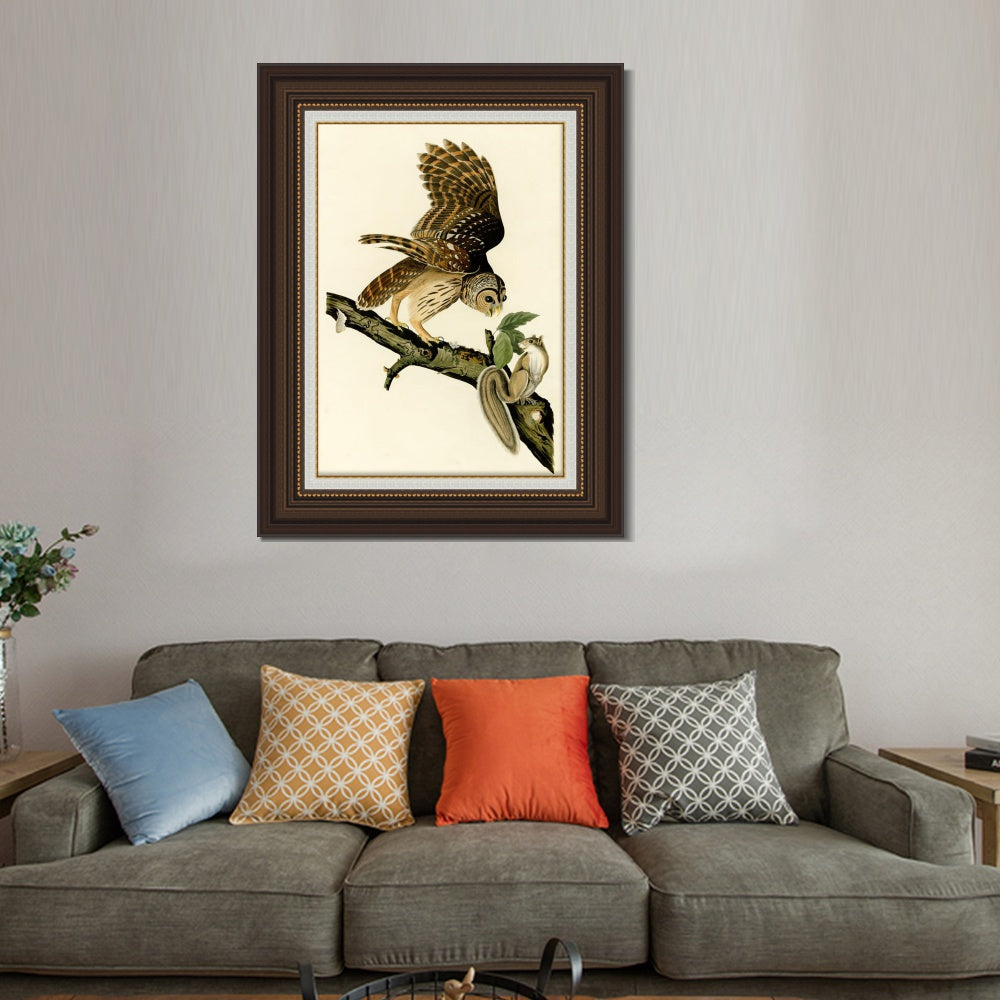 INVIN ART Framed Canvas Art Giclee Print Barred Owl by John James Audubon  Home Office Wall Art Decorations