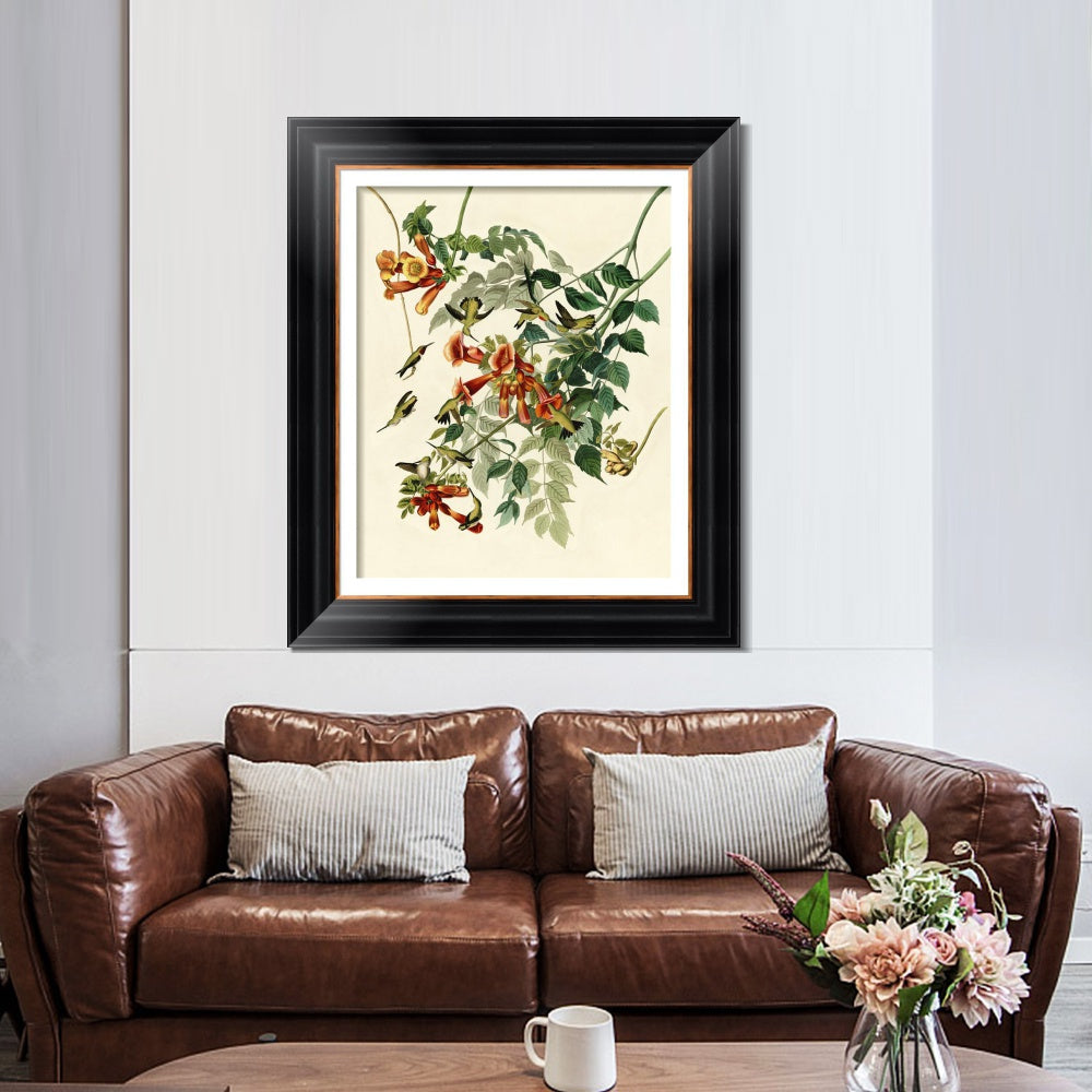 INVIN ART Framed Canvas Art Giclee Print Ruby Throated Humming Bird by John James Audubon  Home Office Wall Art Decorations