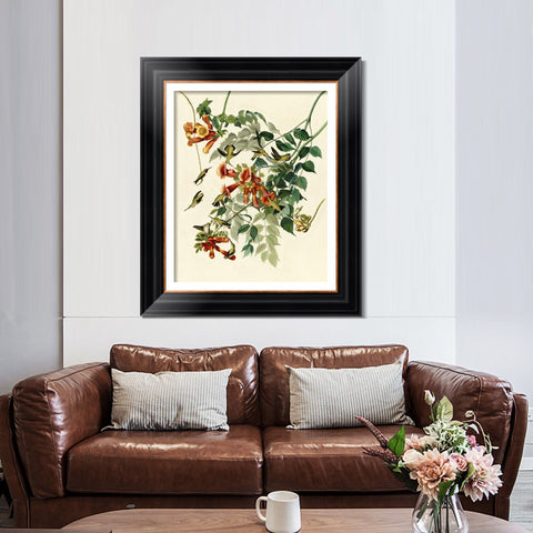 INVIN ART Framed Canvas Art Giclee Print Ruby Throated Humming Bird by John James Audubon Living Room Home Office Wall Art Decorations