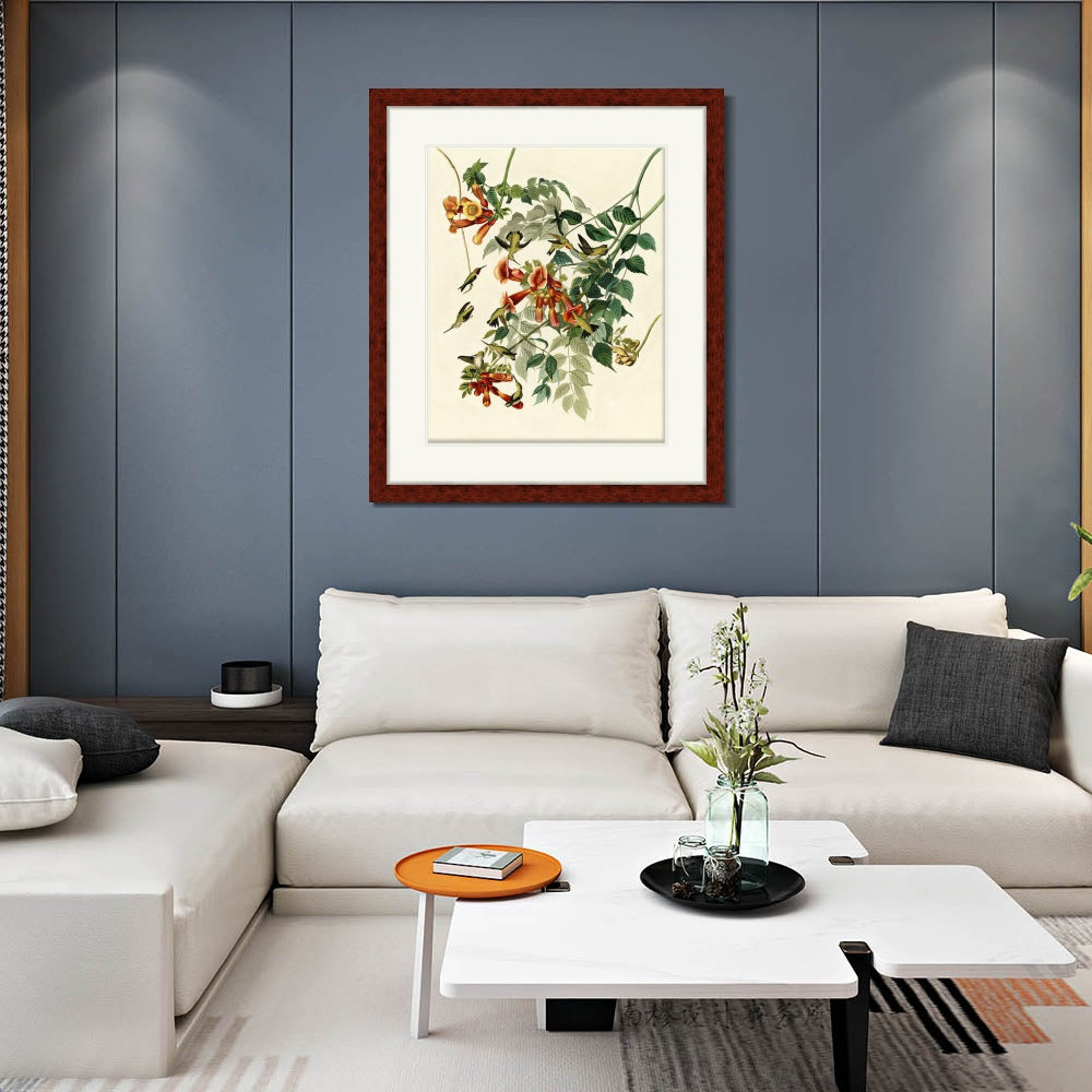 INVIN ART Framed Canvas Art Giclee Print Ruby Throated Humming Bird by John James Audubon  Home Office Wall Art Decorations