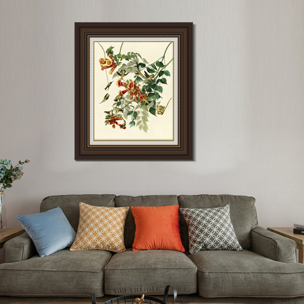 INVIN ART Framed Canvas Art Giclee Print Ruby Throated Humming Bird by John James Audubon  Home Office Wall Art Decorations