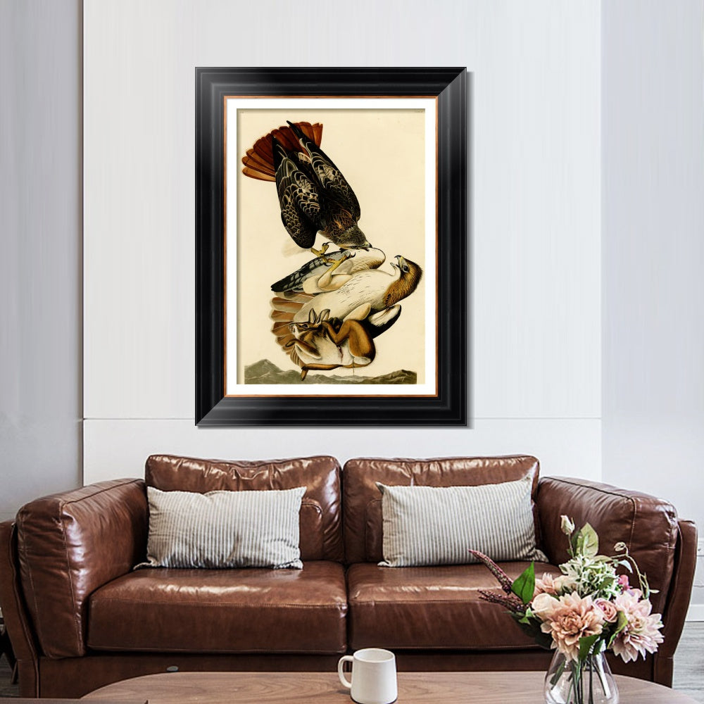 INVIN ART Framed Canvas Art Giclee Print Red Tailed Hawk by John James Audubon  Home Office Wall Art Decorations