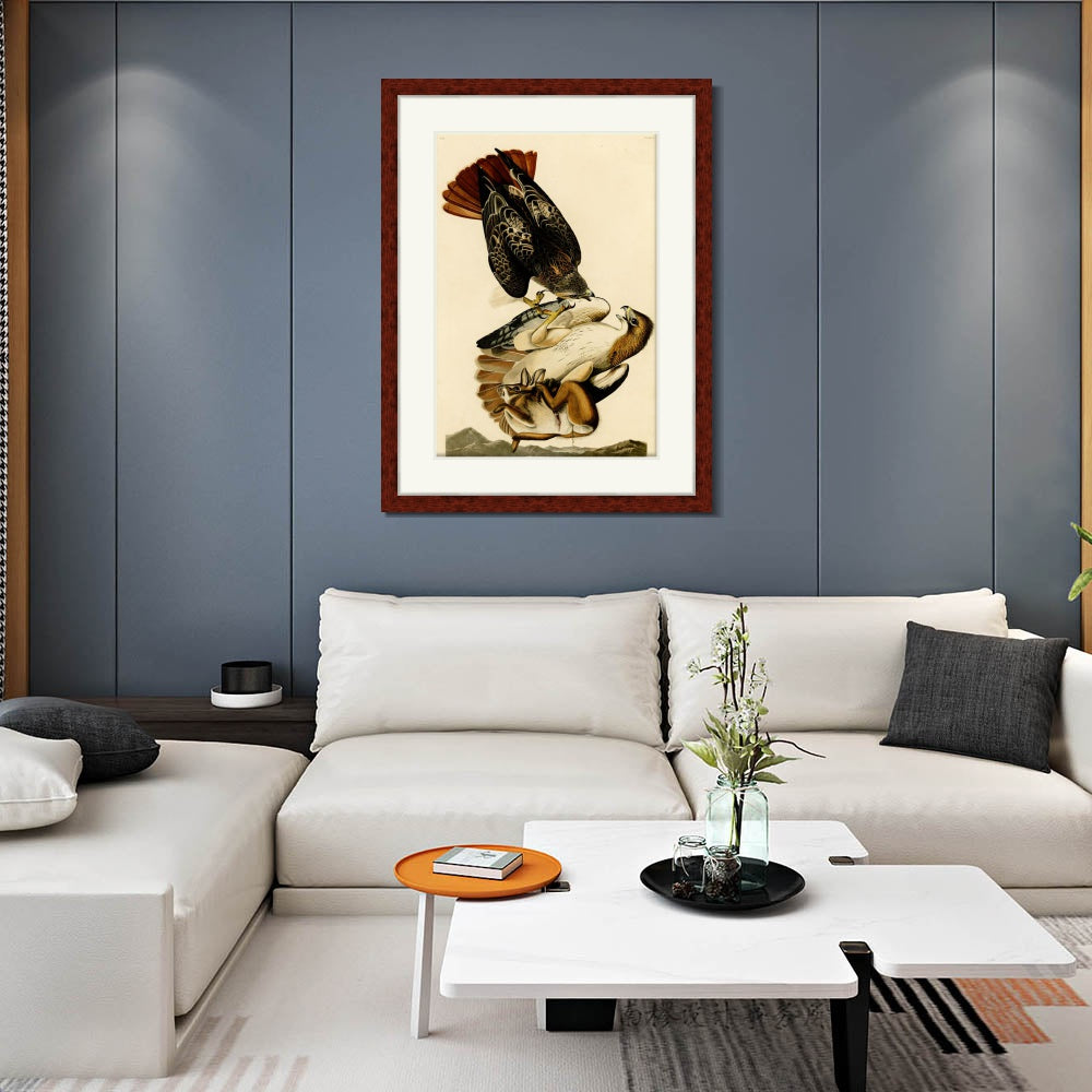 INVIN ART Framed Canvas Art Giclee Print Red Tailed Hawk by John James Audubon  Home Office Wall Art Decorations