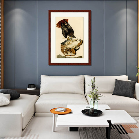 INVIN ART Framed Canvas Art Giclee Print Red Tailed Hawk by John James Audubon Living Room Home Office Wall Art Decorations
