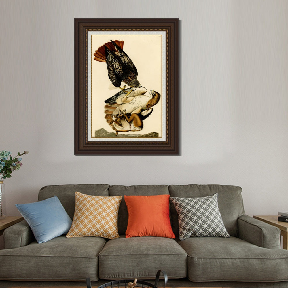 INVIN ART Framed Canvas Art Giclee Print Red Tailed Hawk by John James Audubon  Home Office Wall Art Decorations