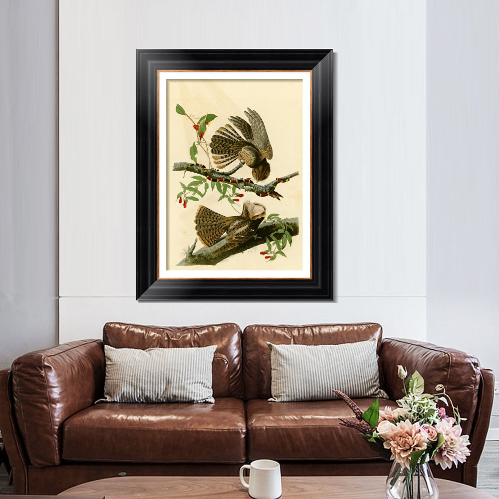 INVIN ART Framed Canvas Art Giclee Print Chuck Will's Widow by John James Audubon  Home Office Wall Art Decorations