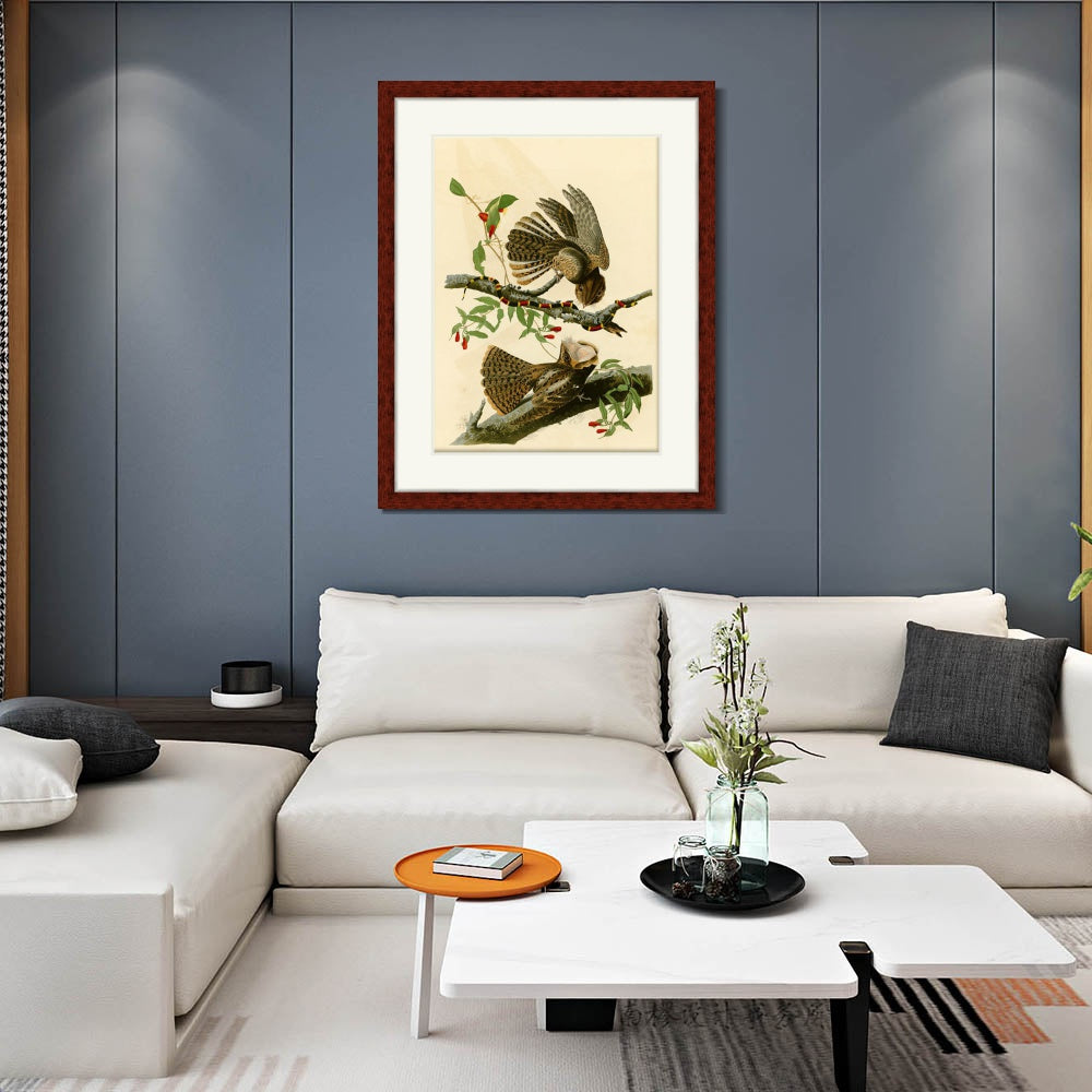 INVIN ART Framed Canvas Art Giclee Print Chuck Will's Widow by John James Audubon  Home Office Wall Art Decorations