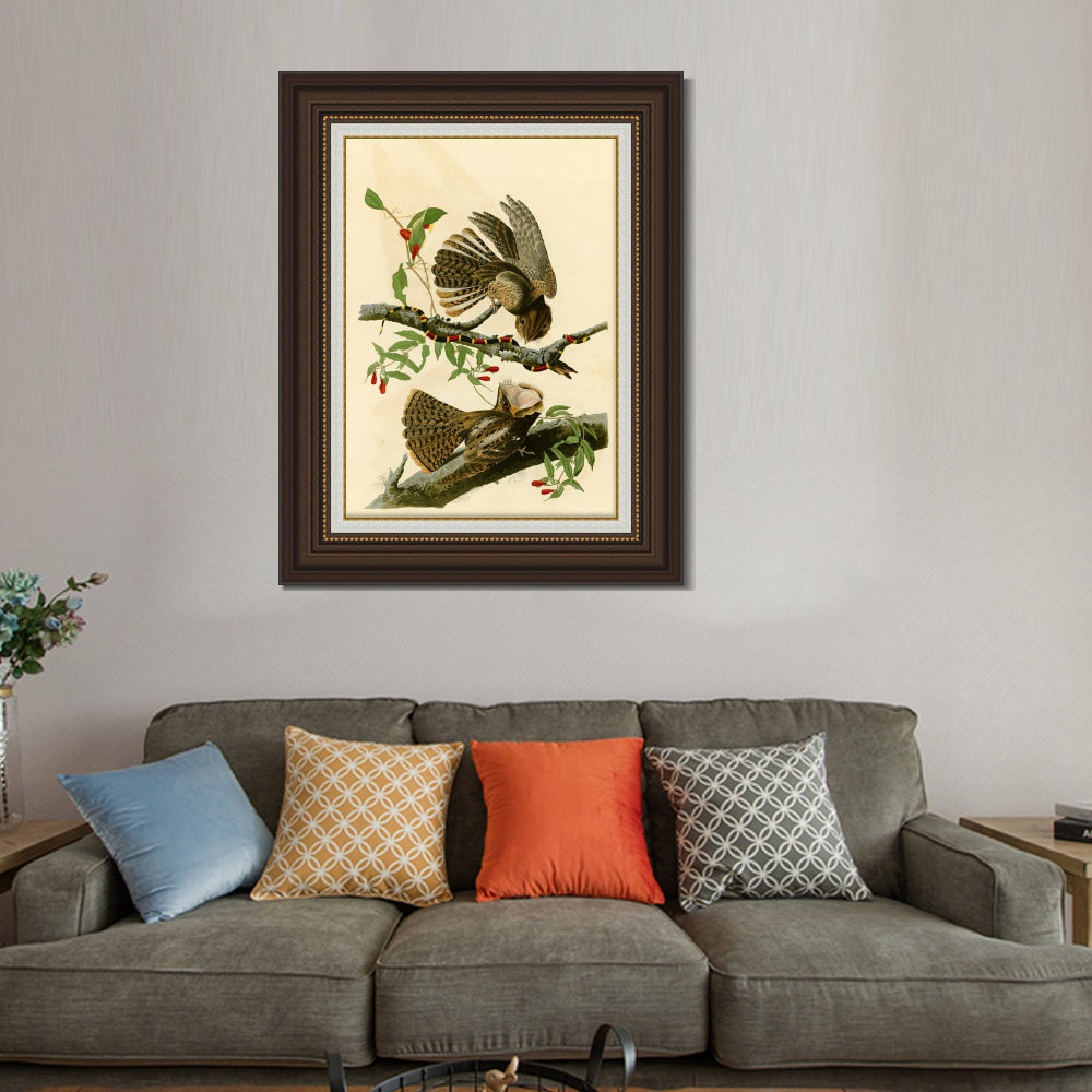 INVIN ART Framed Canvas Art Giclee Print Chuck Will's Widow by John James Audubon  Home Office Wall Art Decorations