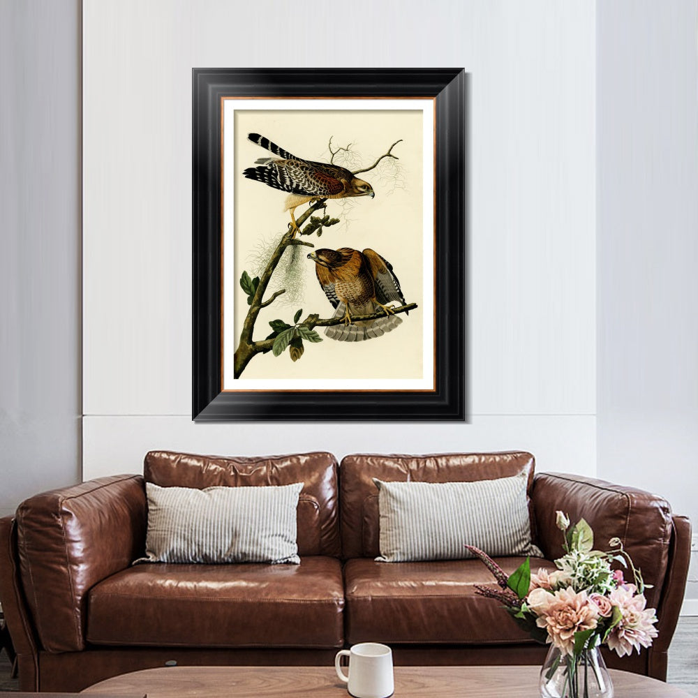INVIN ART Framed Canvas Art Giclee Print Red Shouldered Hawk by John James Audubon  Home Office Wall Art Decorations