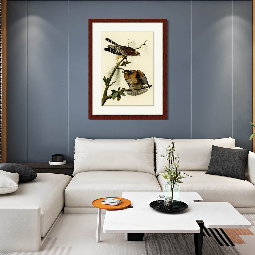 INVIN ART Framed Canvas Art Giclee Print Red Shouldered Hawk by John James Audubon  Home Office Wall Art Decorations