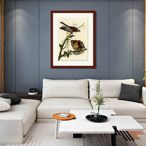 INVIN ART Framed Canvas Art Giclee Print Red Shouldered Hawk by John James Audubon Living Room Home Office Wall Art Decorations