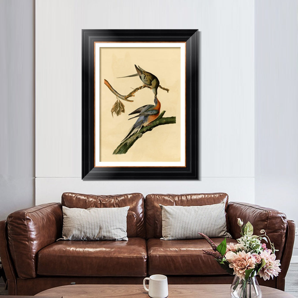 INVIN ART Framed Canvas Art Giclee Print Passenger Pigeon by John James Audubon  Home Office Wall Art Decorations