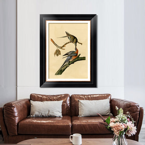 INVIN ART Framed Canvas Art Giclee Print Passenger Pigeon by John James Audubon Living Room Home Office Wall Art Decorations