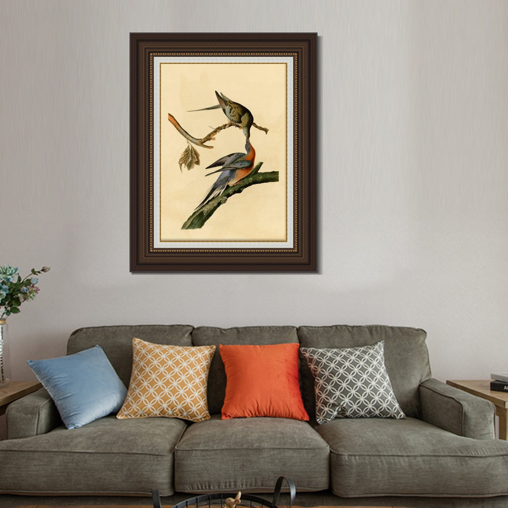 INVIN ART Framed Canvas Art Giclee Print Passenger Pigeon by John James Audubon  Home Office Wall Art Decorations