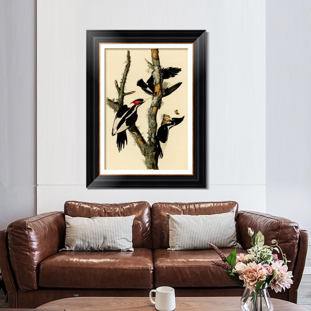 INVIN ART Framed Canvas Art Giclee Print Ivory Billed Woodpecker by John James Audubon  Home Office Wall Art Decorations