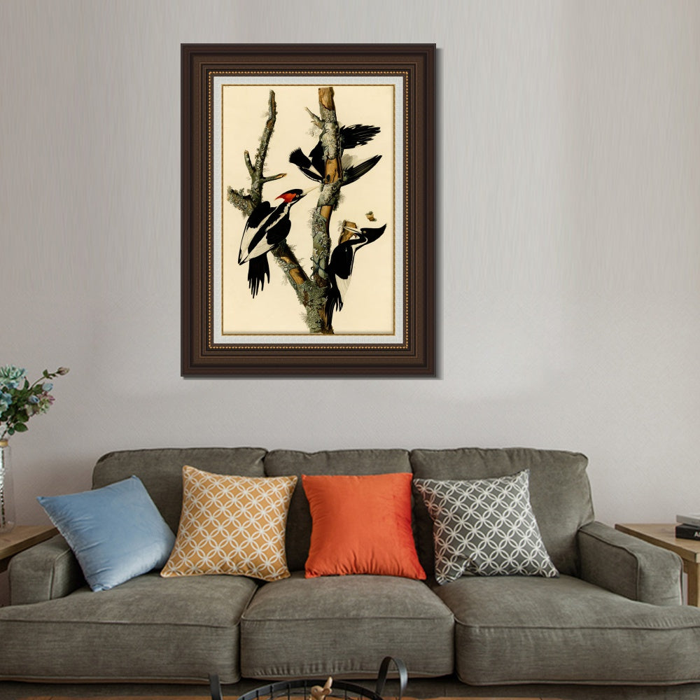 INVIN ART Framed Canvas Art Giclee Print Ivory Billed Woodpecker by John James Audubon  Home Office Wall Art Decorations