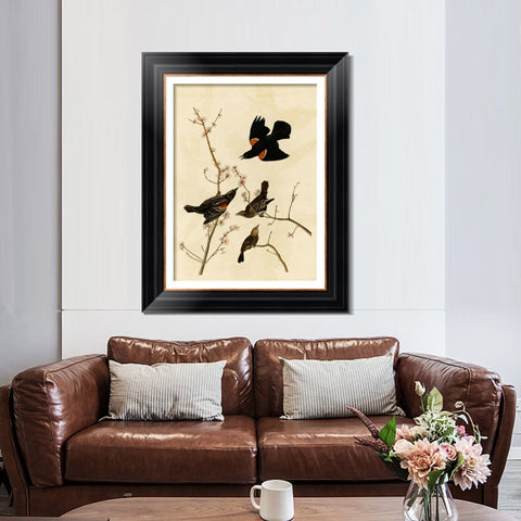 INVIN ART Framed Canvas Art Giclee Print Red Winged Starling or Marsh Blackbird by John James Audubon Living Room Home Office Wall Art Decorations