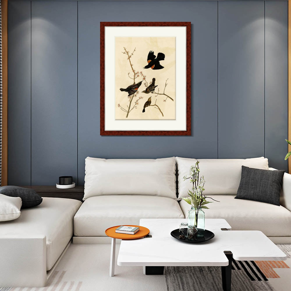 INVIN ART Framed Canvas Art Giclee Print Red Winged Starling or Marsh Blackbird by John James Audubon  Home Office Wall Art Decorations