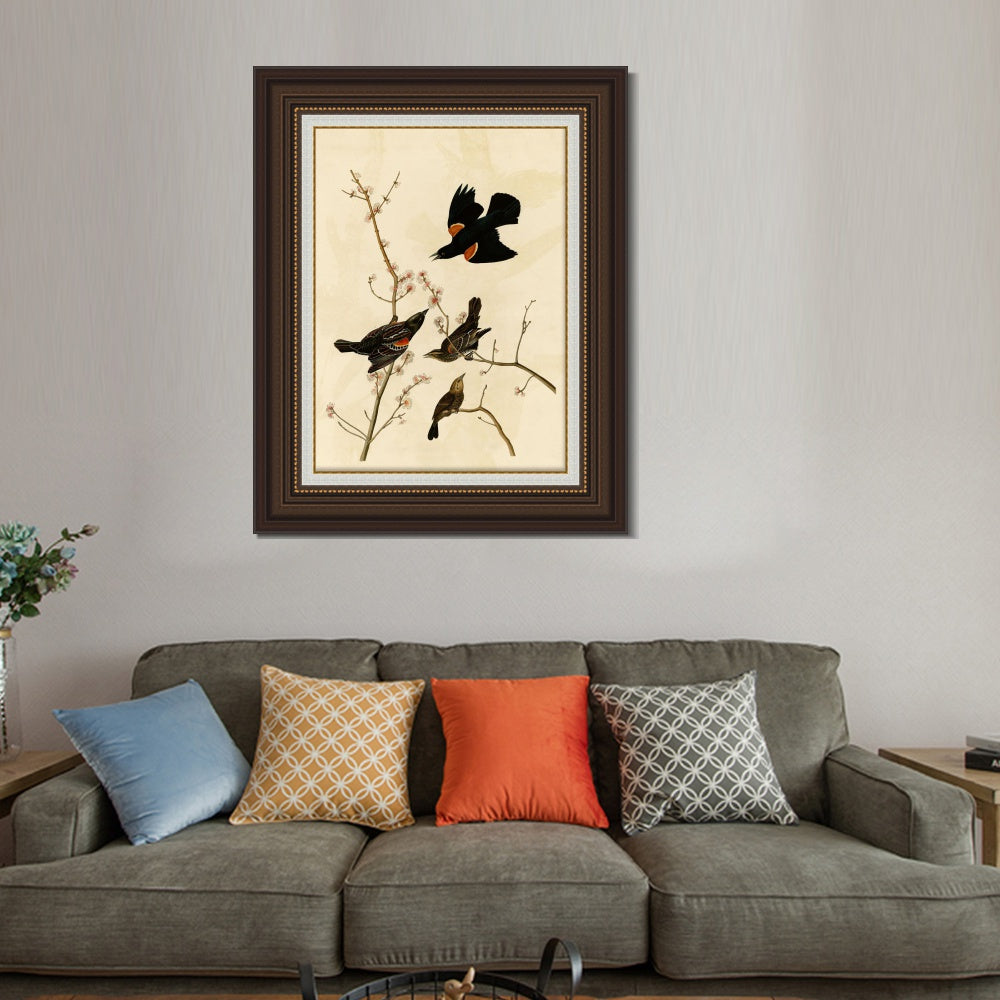 INVIN ART Framed Canvas Art Giclee Print Red Winged Starling or Marsh Blackbird by John James Audubon  Home Office Wall Art Decorations