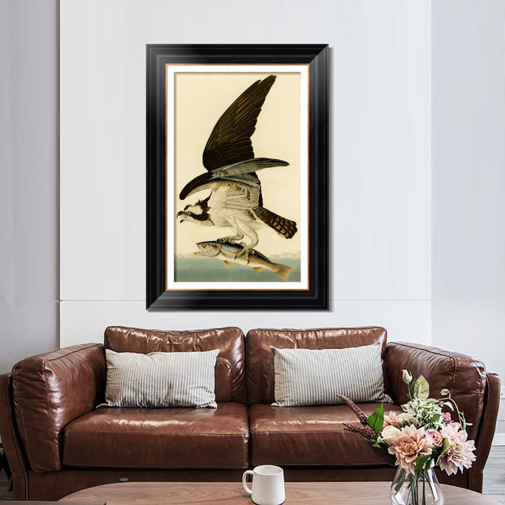 INVIN ART Framed Canvas Art Giclee Print Fish Hawk or Osprey by John James Audubon  Home Office Wall Art Decorations